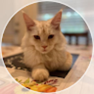 Meet your Posher, Lucy